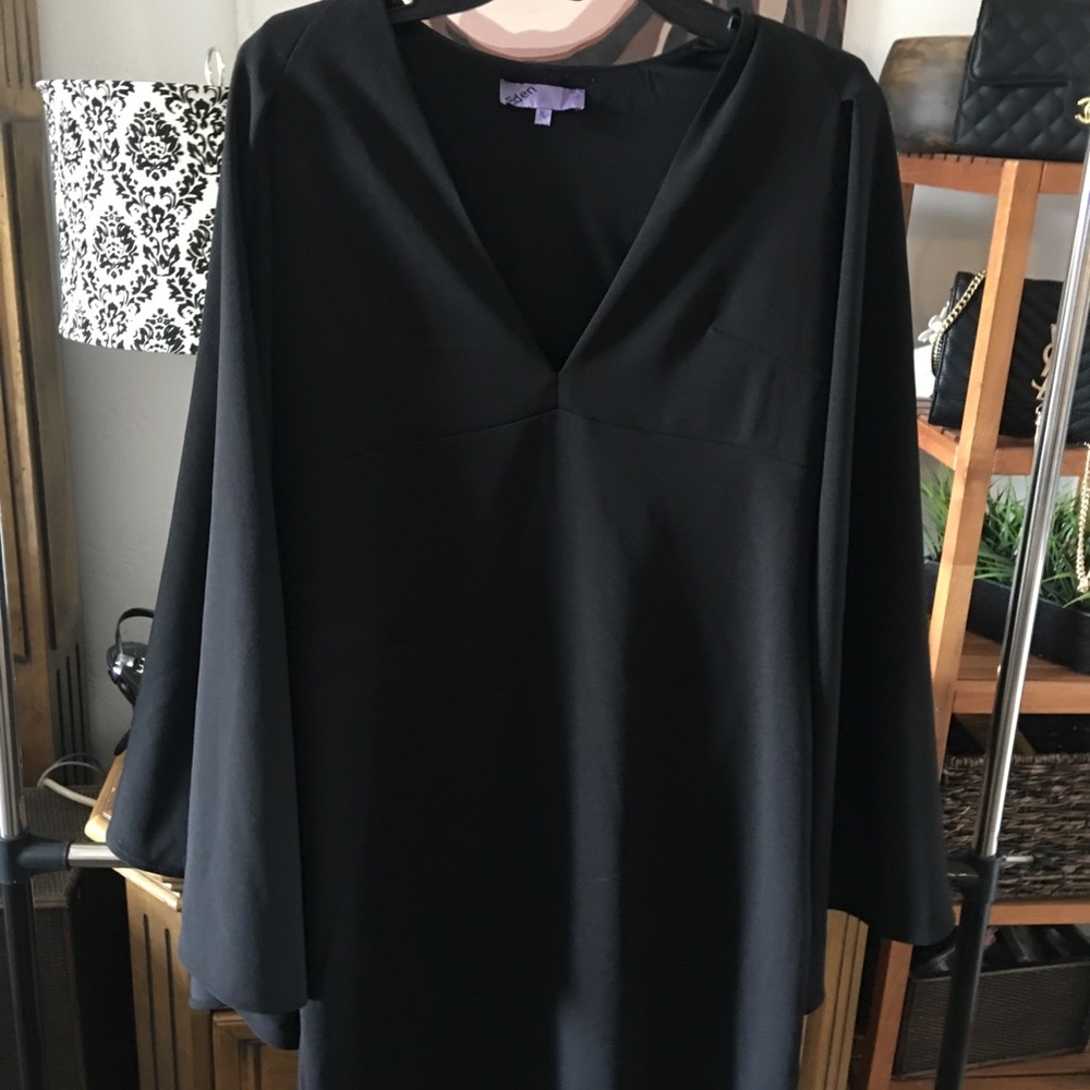 Bell sleeve dress.
